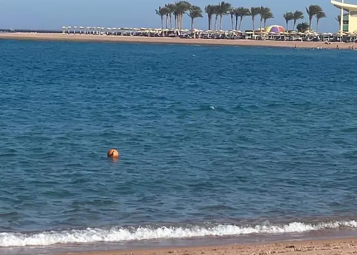 In Porto * Sharm-el-Sheikh